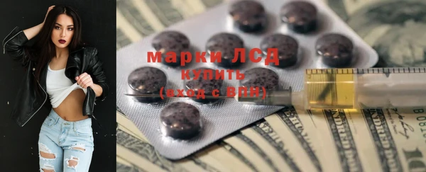крисы Медвежьегорск
