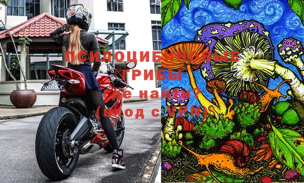 прущие крисы Аркадак