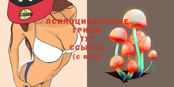 Альфа ПВП Арсеньев