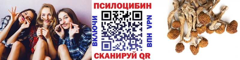 дарнет шоп  Радужный  Псилоцибиновые грибы прущие грибы 